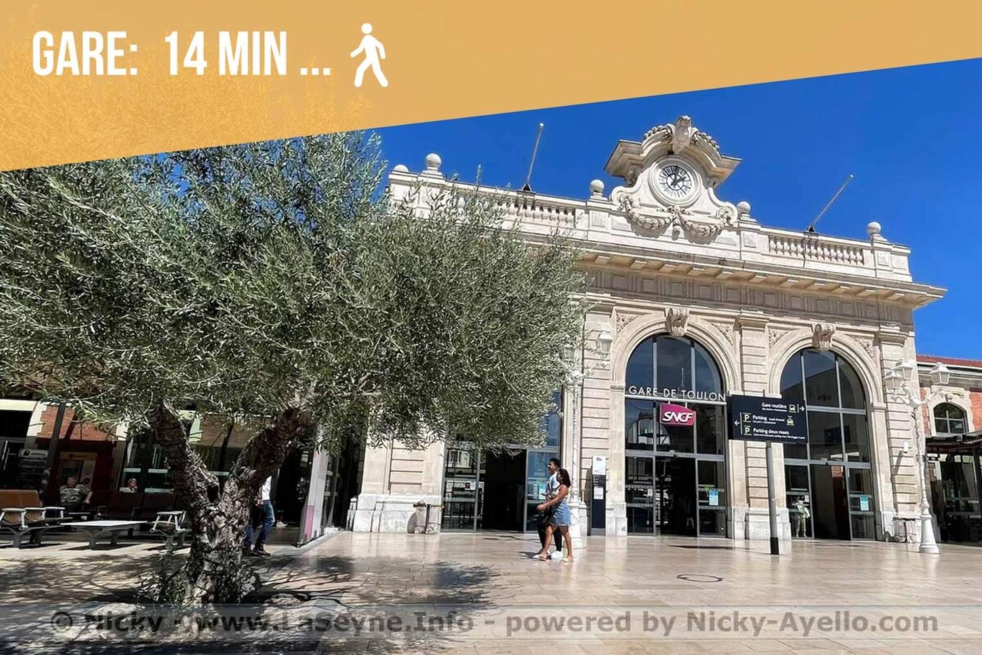 Appartement Le Chineur-hyper Centre-near Station-wifi Toulon